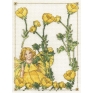 The Buttercup Fairy The Buttercup Fairy